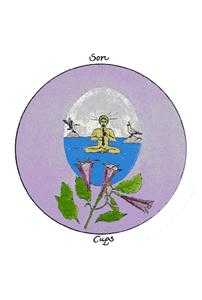 Son of Cups