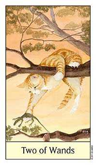 Two of Wands