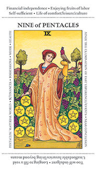 Nine of Pentacles (Coins)