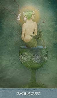 Page of Cups