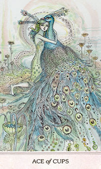 Ace of Cups