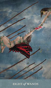 Eight of Wands