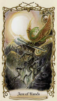 Ace of Wands