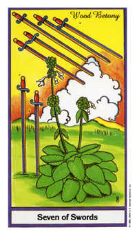Seven of Swords