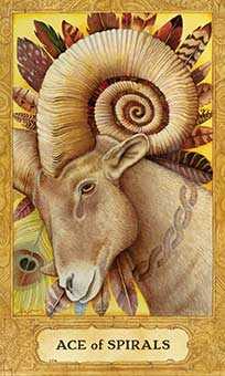 Ace of Wands
