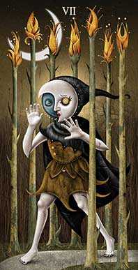 Seven of Wands