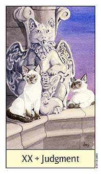 Judgement