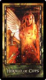 Page of Cups
