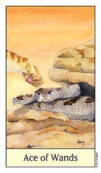 Ace of Wands