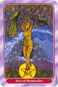 Ace of Pentacles (Coins)