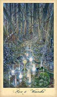 Ace of Wands