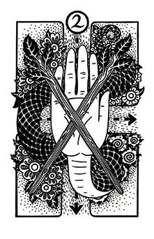 Two of Wands