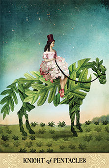 Knight of Pentacles (Coins)