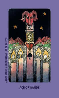Ace of Wands