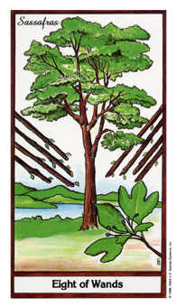 Eight of Wands
