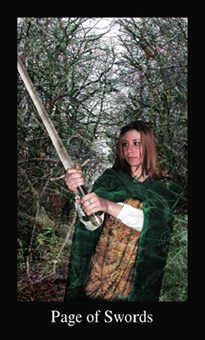 Page of Swords