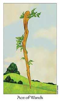 Ace of Wands