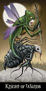 Knight of Wands