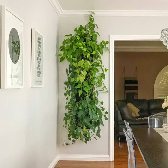 Garden wall design as a hanging artwork. Garden wall design as a hanging artwork.