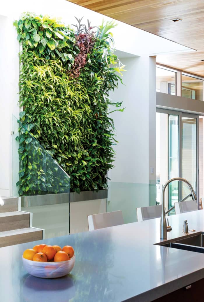 Garden wall design on a kitchen wall. Garden wall design on a kitchen wall.