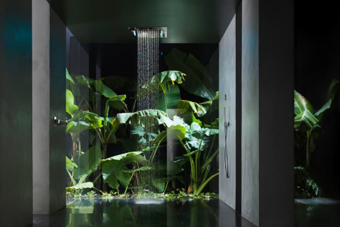 Waterfall shower with full height plants behind.
