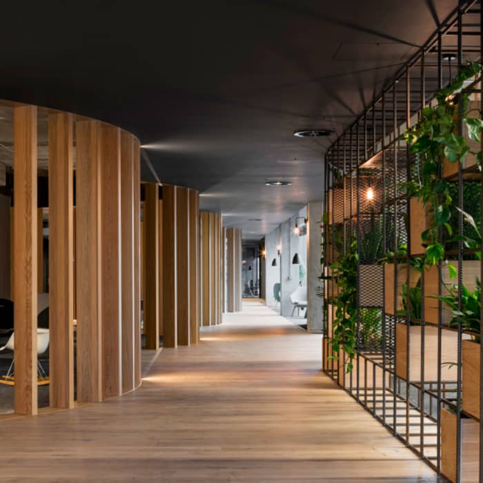 Slack European Office, which applies biophilic design using wood partitions and plants.