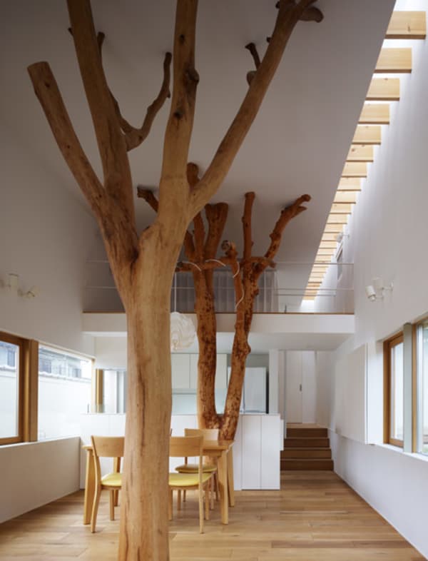 Dining room with trees being part of the interior design, stunning application of biophilic design. Dining room with trees being part of the interior design, stunning application of biophilic design.