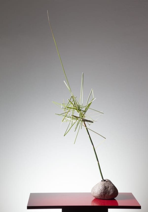Minimal Ikebana arrangement.