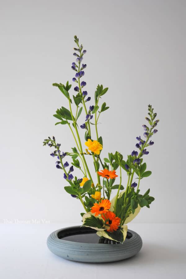 Summer Ikebana arrangement (Moribana).