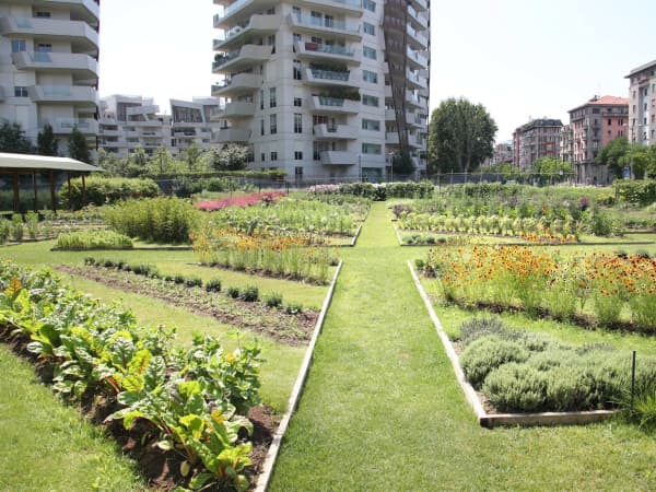 Garden in CityLife park.