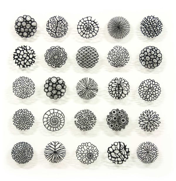 Overview of different embroidered works riproducing biophilic patterns - black and white pieces.