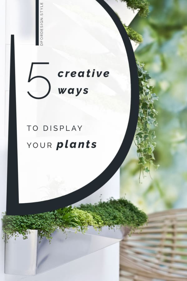 Make a statement with your plants. Pin It.
