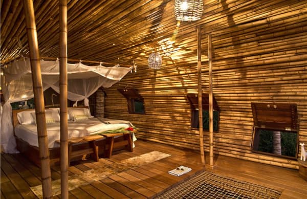View of the bed.