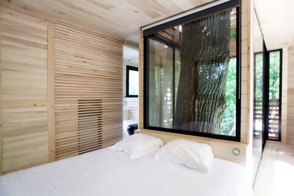 View of the bedroom, with the oak tree poking behind the bed.