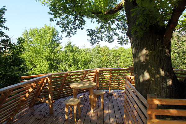 View of upper patio, shaded by the oak tree.