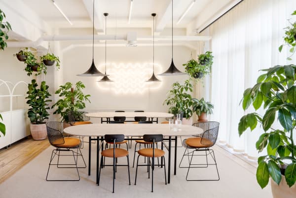 Conference room with plenty of plants and a welcoming feel.
