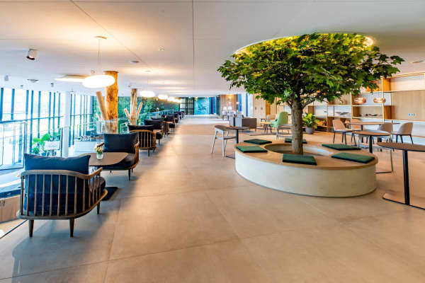 View of a biophilic office canteen designed around a tree.