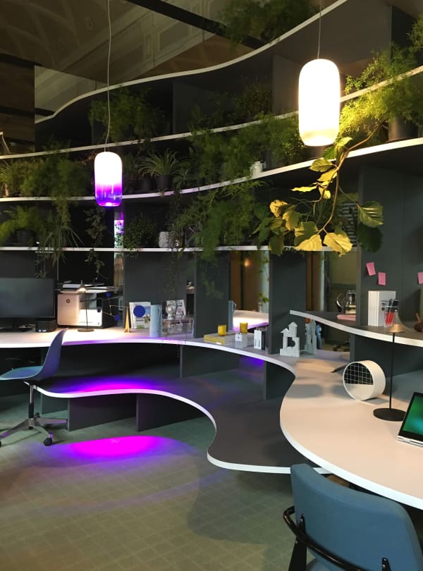 View of a working station in a biophilic office with lush plants hanging from the walls.