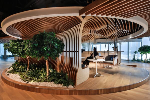 Biophilic office with curved wood ceiling recalling the shape of a tree and swings hanging from the ceiling.