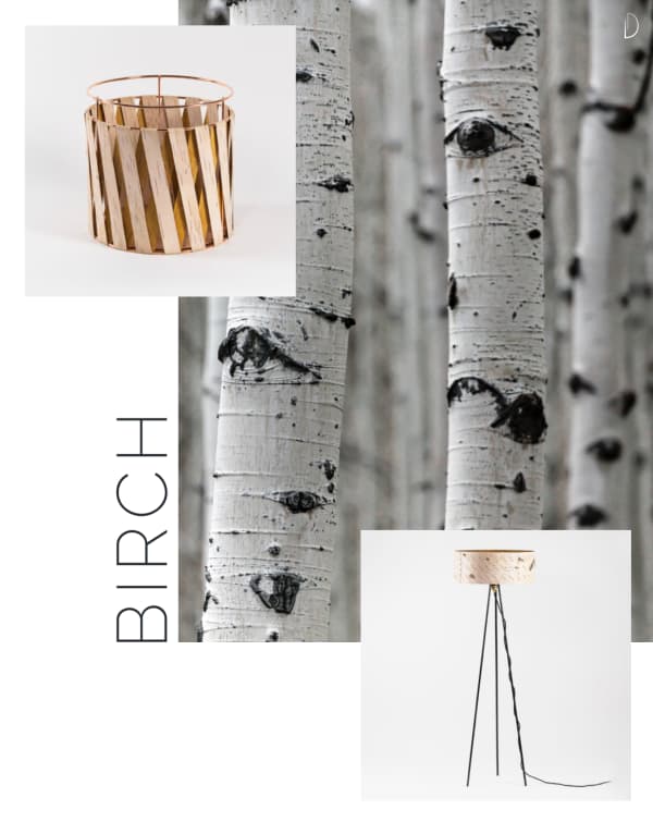 Birch bark home items: a floor lamp and a small basket.