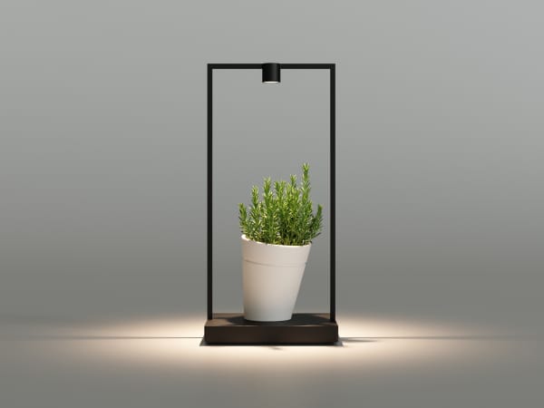 Portable table lamp in the shape of a metal frame. The hollow in the middle is filled with a plant that gets hit by the light.