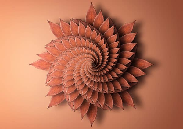 Print reproducing the fractal spiral of a plant.