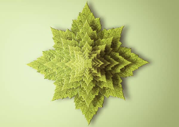 Fractal print reproducing a plant seen from above.