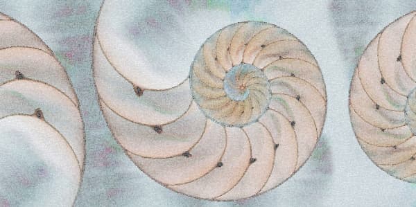 Glass mosaic pattern reproducing a nautilus fractal pattern.