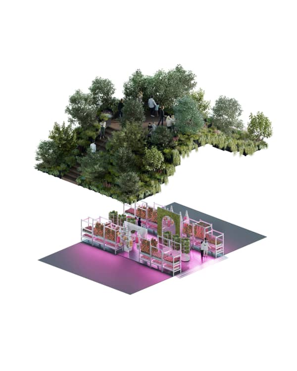 A rendering of the concept garden.