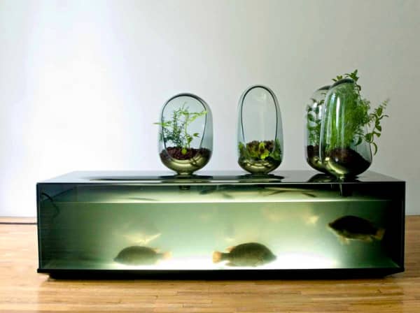 Photo of the aquaponic home system Local river.