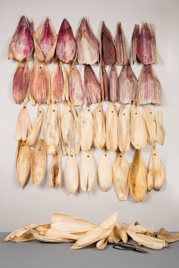Corn husks hanging on a wall before being transformed.