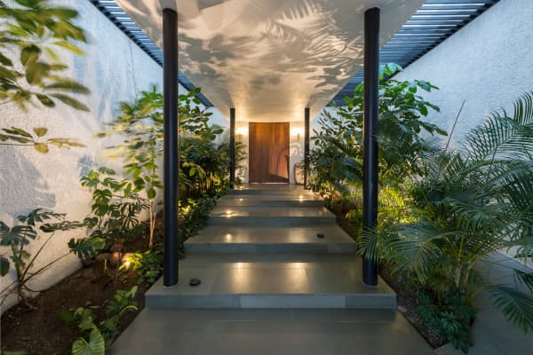 Home exterior at night. Light hits the plants whose reflection decorates the wall.