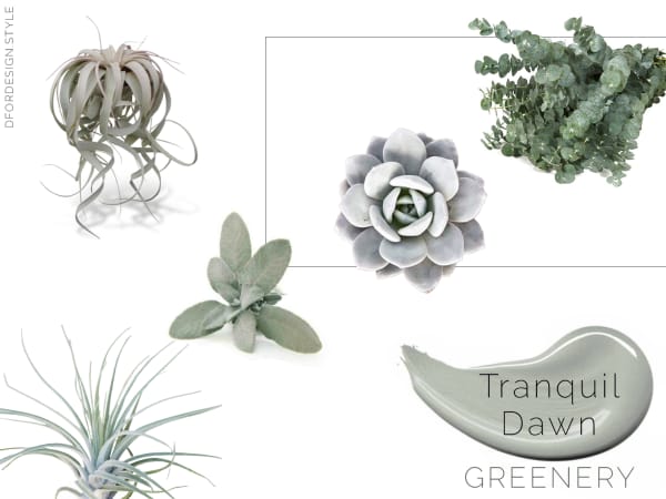 Moodboard showing all the above mentioned plants to add Tranquil Dawn with greenery.