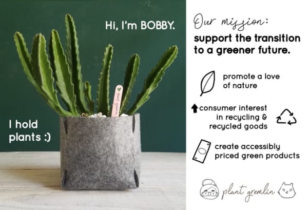 Shot of Bobby felt planter with a plant inside.